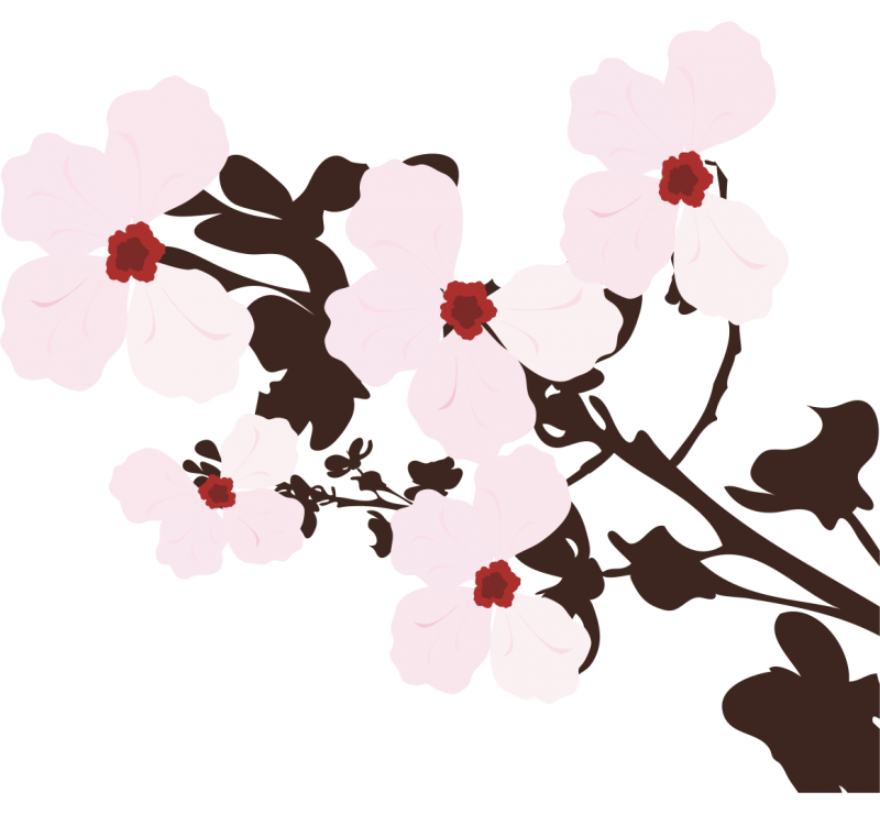 Autocollant Fleurs de Cerisier - ref.SVYAN80