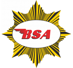 Autocollant BSA Gold Star | 2