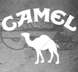 Stickers Camel Logo